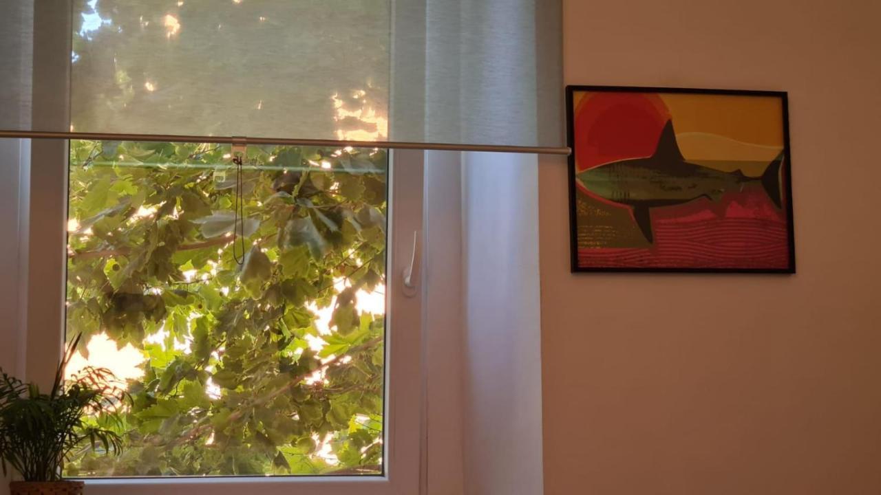 Ladispoli Apartment 외부 사진